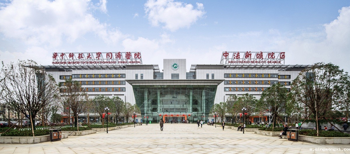 同济医院中法新城院区